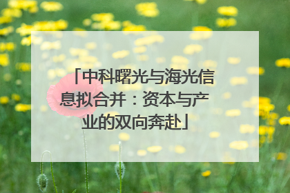 中科曙光与海光信息拟合并：资本与产业的双向奔赴