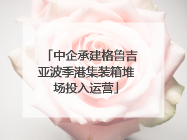 中企承建格鲁吉亚波季港集装箱堆场投入运营