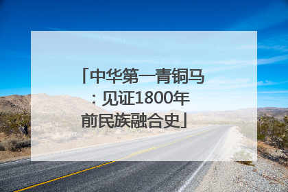 中华第一青铜马：见证1800年前民族融合史