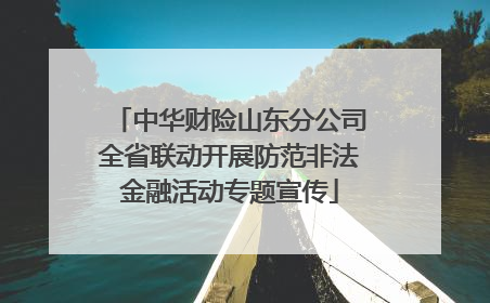 中华财险山东分公司全省联动开展防范非法金融活动专题宣传
