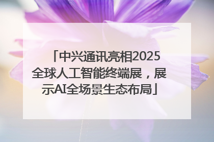 中兴通讯亮相2025全球人工智能终端展，展示AI全场景生态布局
