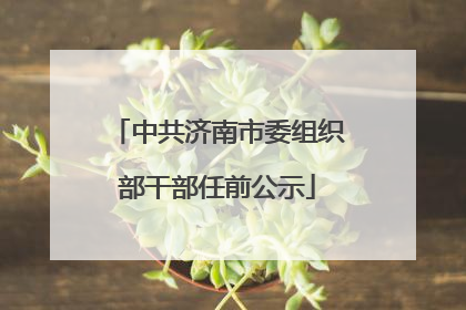 中共济南市委组织部干部任前公示
