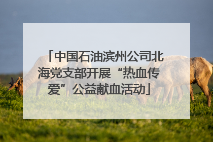 中国石油滨州公司北海党支部开展“热血传爱”公益献血活动