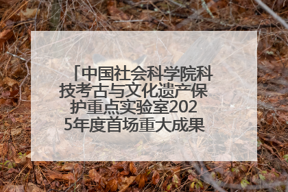中国社会科学院科技考古与文化遗产保护重点实验室2025年度首场重大成果发布会在京举行