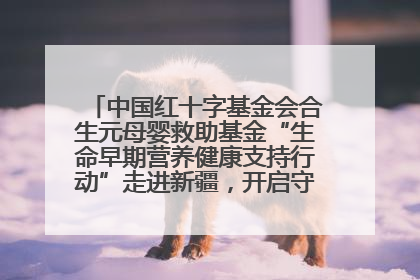 中国红十字基金会合生元母婴救助基金“生命早期营养健康支持行动”走进新疆，开启守护母婴新篇章！