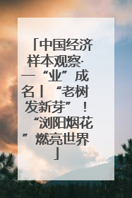 中国经济样本观察·一“业”成名丨“老树发新芽”！“浏阳烟花”燃亮世界