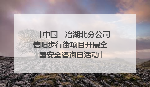 中国一冶湖北分公司信阳步行街项目开展全国安全咨询日活动