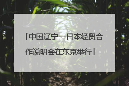 中国辽宁—日本经贸合作说明会在东京举行