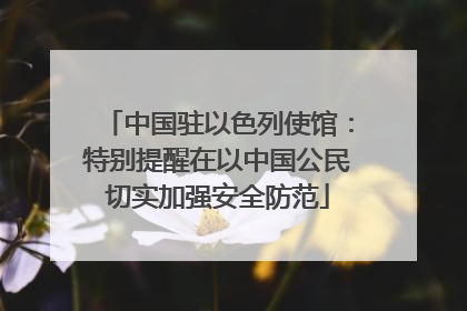 中国驻以色列使馆：特别提醒在以中国公民切实加强安全防范