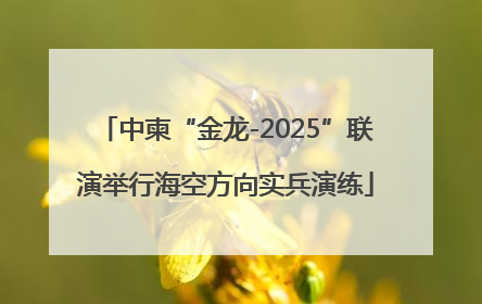 中柬“金龙-2025”联演举行海空方向实兵演练