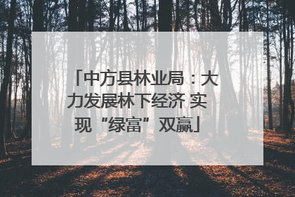 中方县林业局：大力发展林下经济 实现“绿富”双赢
