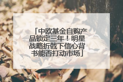 中欧基金自购产品锁定三年！明星战略折戟下信心背书能否打动市场