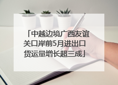 中越边境广西友谊关口岸前5月进出口货运量增长超三成