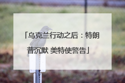乌克兰行动之后:特朗普沉默 美特使警告