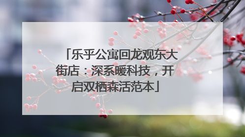 乐乎公寓回龙观东大街店：深系暖科技，开启双栖森活范本