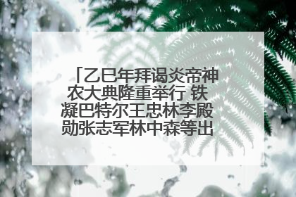 乙巳年拜谒炎帝神农大典隆重举行 铁凝巴特尔王忠林李殿勋张志军林中森等出席 孙伟主持