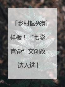 乡村振兴新样板！“七彩官畲”文创改造入选