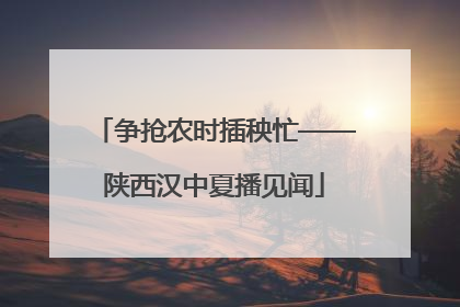 争抢农时插秧忙——陕西汉中夏播见闻