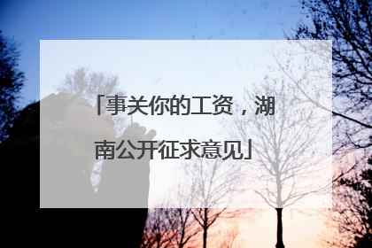 事关你的工资，湖南公开征求意见