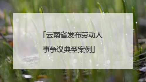 云南省发布劳动人事争议典型案例
