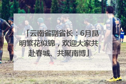 云南省副省长：6月昆明繁花似锦，欢迎大家共赴春城、共聚南博