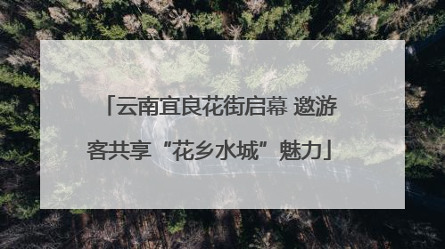 云南宜良花街启幕 邀游客共享“花乡水城”魅力