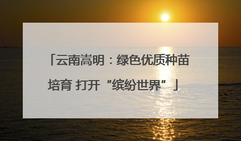 云南嵩明：绿色优质种苗培育 打开“缤纷世界”
