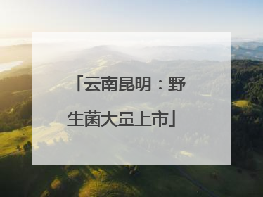 云南昆明：野生菌大量上市