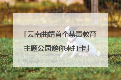 云南曲靖首个禁毒教育主题公园邀你来打卡