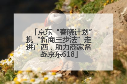 京东“春晓计划”携“新商三步法”走进广西，助力商家备战京东618