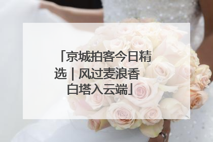 京城拍客今日精选｜风过麦浪香 白塔入云端
