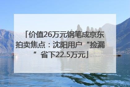 价值26万元钢笔成京东拍卖焦点：沈阳用户“捡漏”省下22.5万元