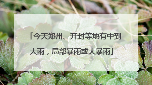 今天郑州、开封等地有中到大雨，局部暴雨或大暴雨