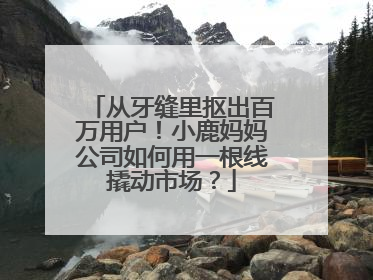 从牙缝里抠出百万用户！小鹿妈妈公司如何用一根线撬动市场？