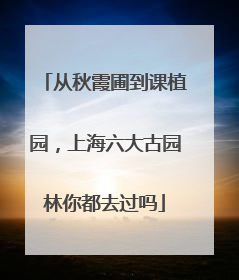 从秋霞圃到课植园，上海六大古园林你都去过吗