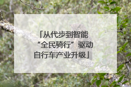 从代步到智能 “全民骑行”驱动自行车产业升级