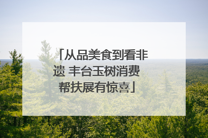 从品美食到看非遗 丰台玉树消费帮扶展有惊喜