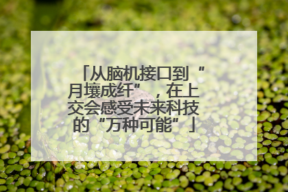 从脑机接口到“月壤成纤”，在上交会感受未来科技的“万种可能”
