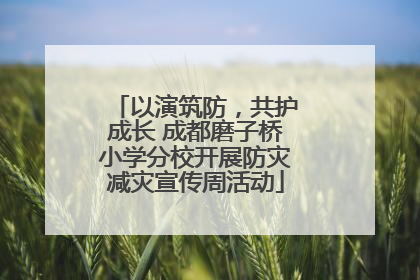 以演筑防，共护成长 成都磨子桥小学分校开展防灾减灾宣传周活动