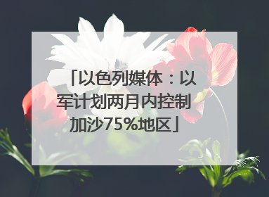 以色列媒体：以军计划两月内控制加沙75%地区