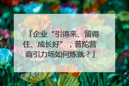 企业“引得来、留得住、成长好”，普陀营商引力场如何炼就？