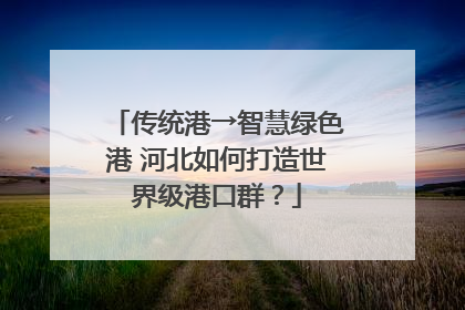 传统港→智慧绿色港 河北如何打造世界级港口群？