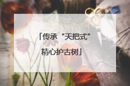 传承“天把式” 精心护古树