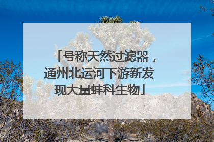 号称天然过滤器，通州北运河下游新发现大量蚌科生物