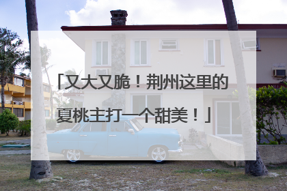 又大又脆！荆州这里的夏桃主打一个甜美！