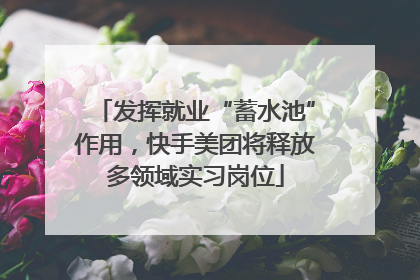 发挥就业“蓄水池”作用，快手美团将释放多领域实习岗位