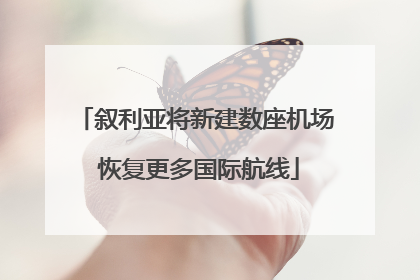 叙利亚将新建数座机场 恢复更多国际航线