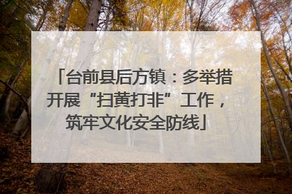 台前县后方镇：多举措开展“扫黄打非”工作，筑牢文化安全防线