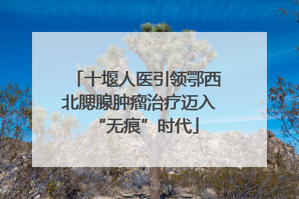 十堰人医引领鄂西北腮腺肿瘤治疗迈入“无痕”时代