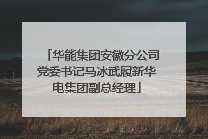 华能集团安徽分公司党委书记马冰武履新华电集团副总经理